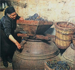 Cyprus Wine Production